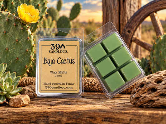 Baja Cactus